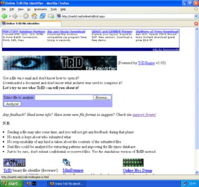 Preview - Windows XP con Mozilla Firefox